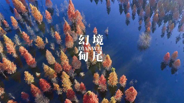 一个大问题