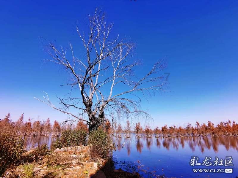 同行是冤家怎么理解啊游戏画面