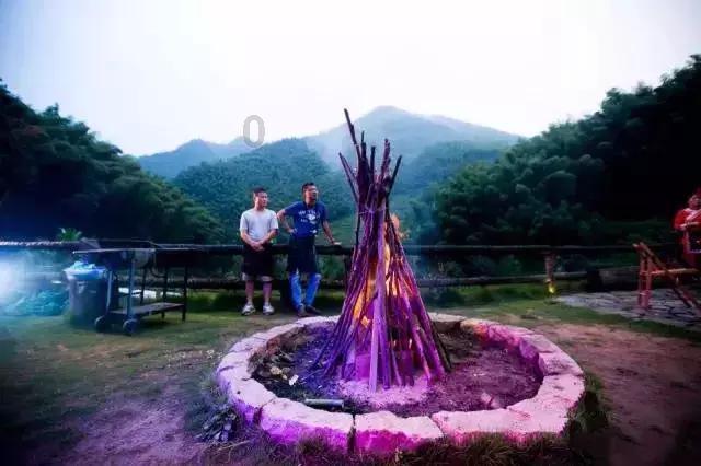 全民烧脑3去广告版