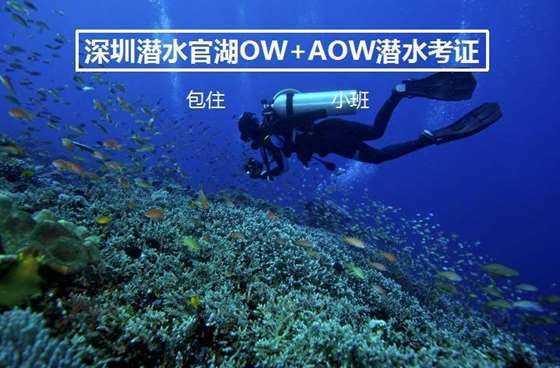 人民大会堂的镜头，意外成明星真实颜值的“照妖镜”！